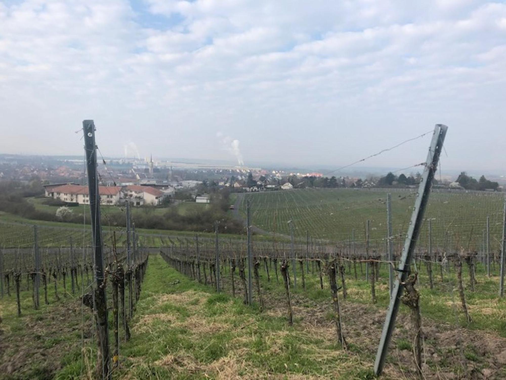 Ferienwohnung Weinberg Markt Einersheim 外观 照片