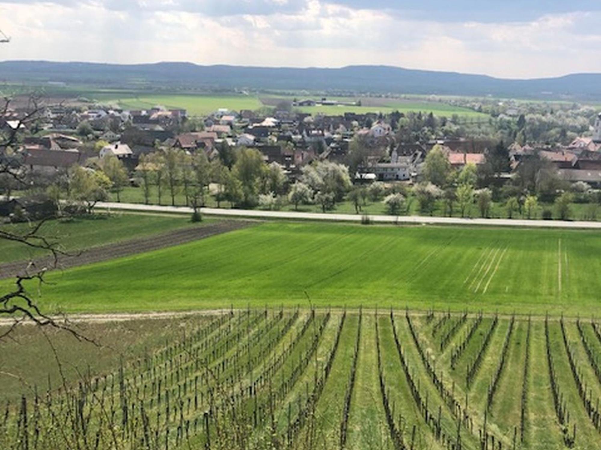 Ferienwohnung Weinberg Markt Einersheim 外观 照片
